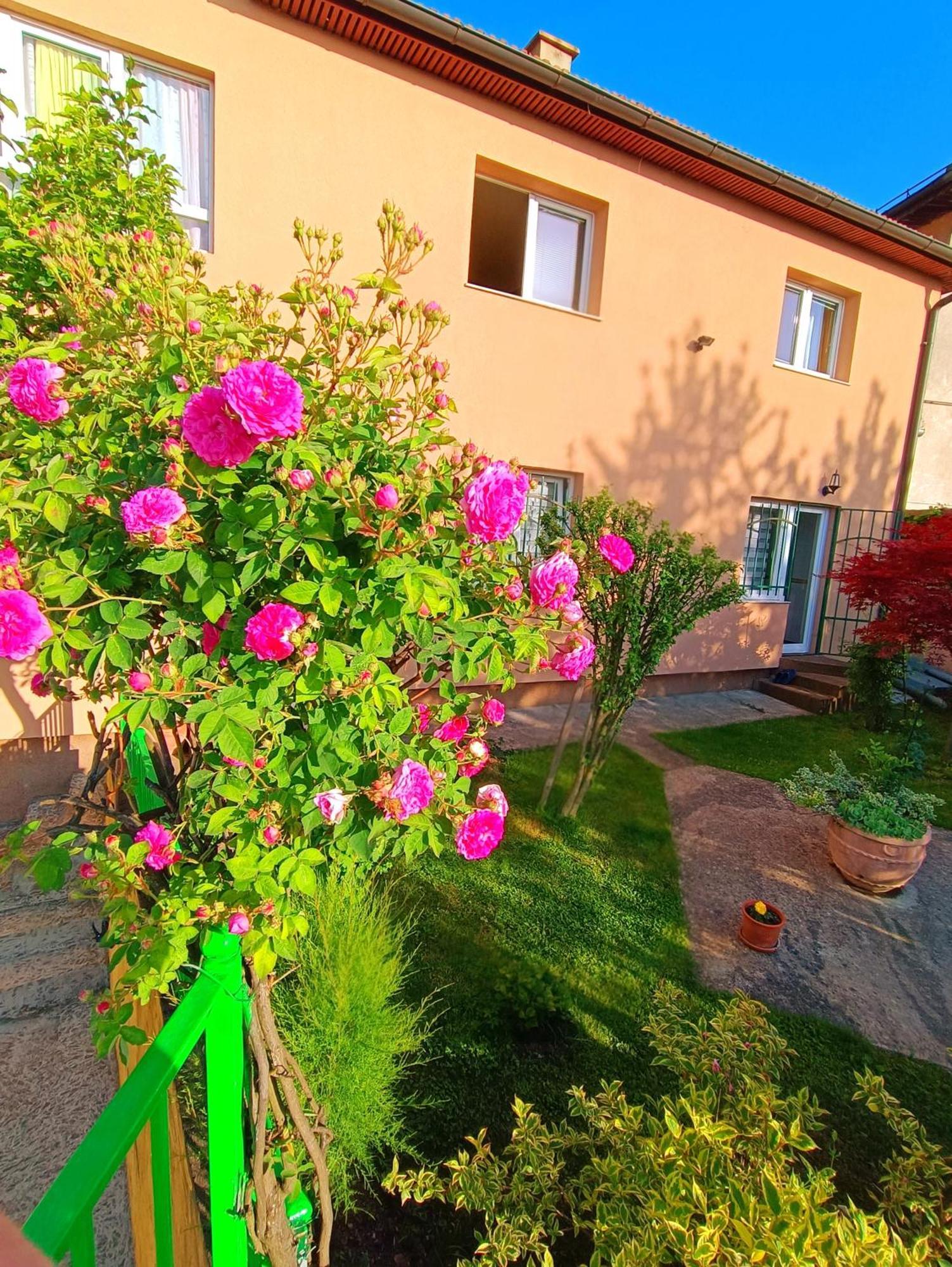 Garden Free Parking Daire Saraybosna Dış mekan fotoğraf