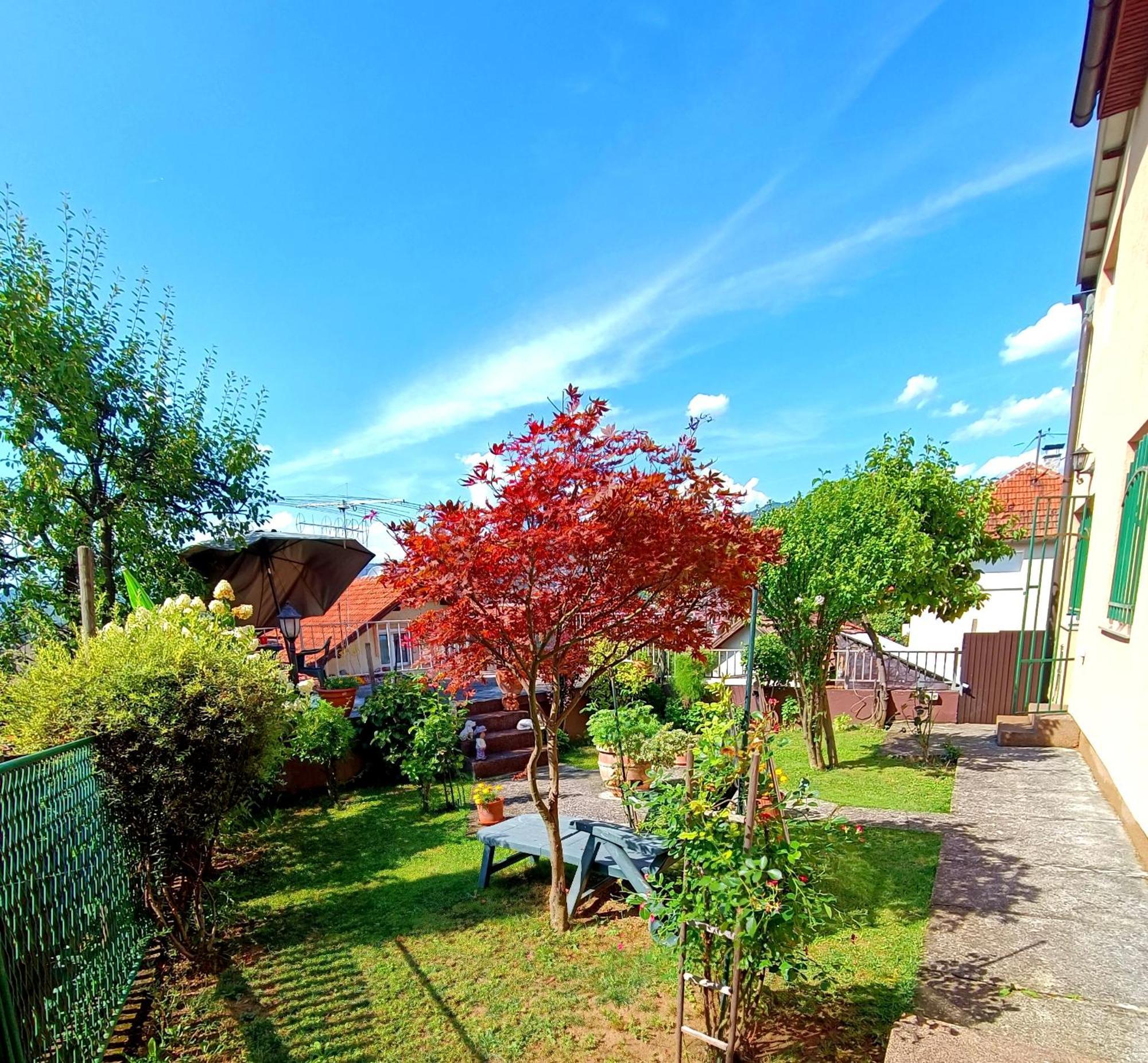 Garden Free Parking Daire Saraybosna Oda fotoğraf