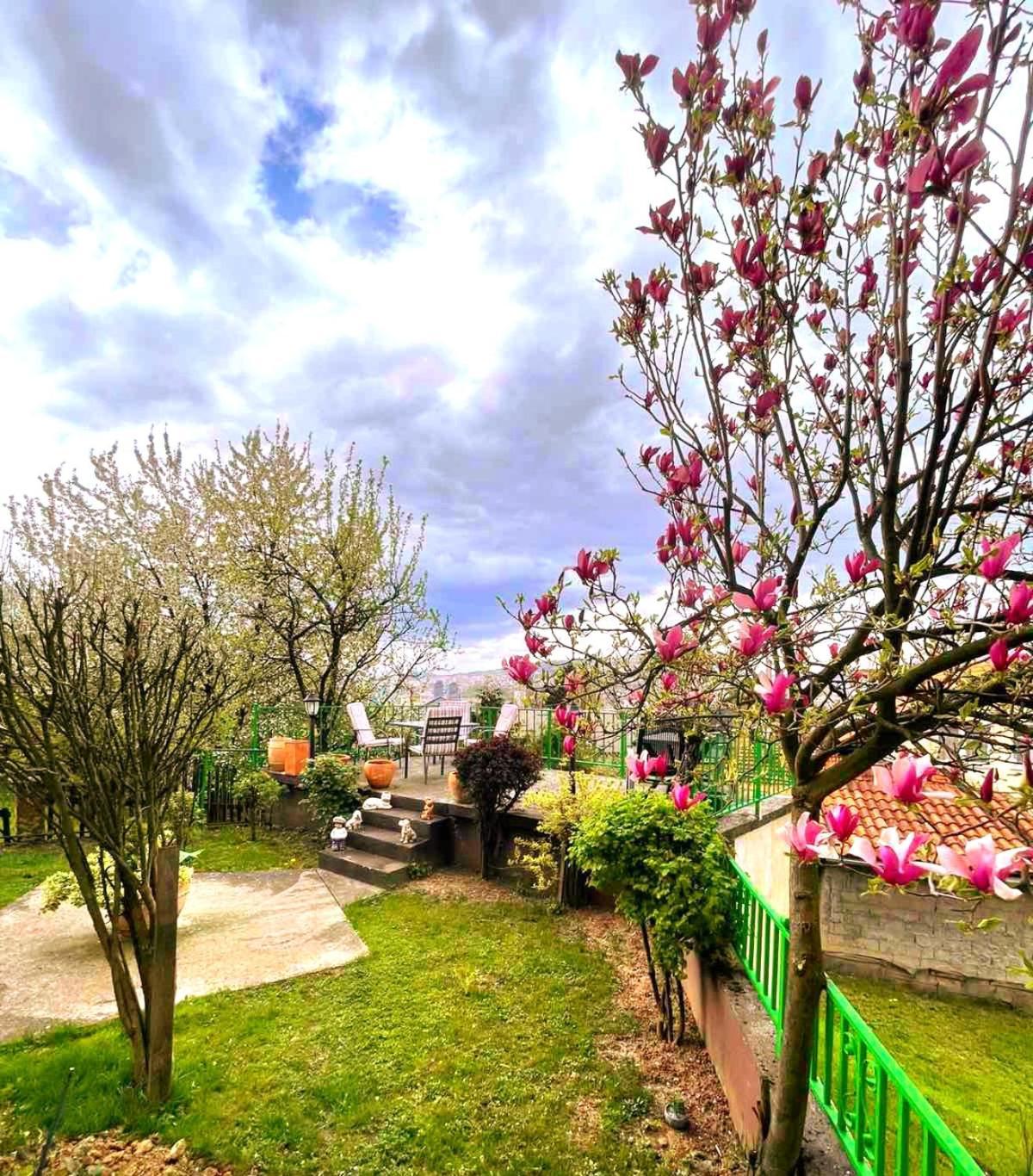Garden Free Parking Daire Saraybosna Dış mekan fotoğraf