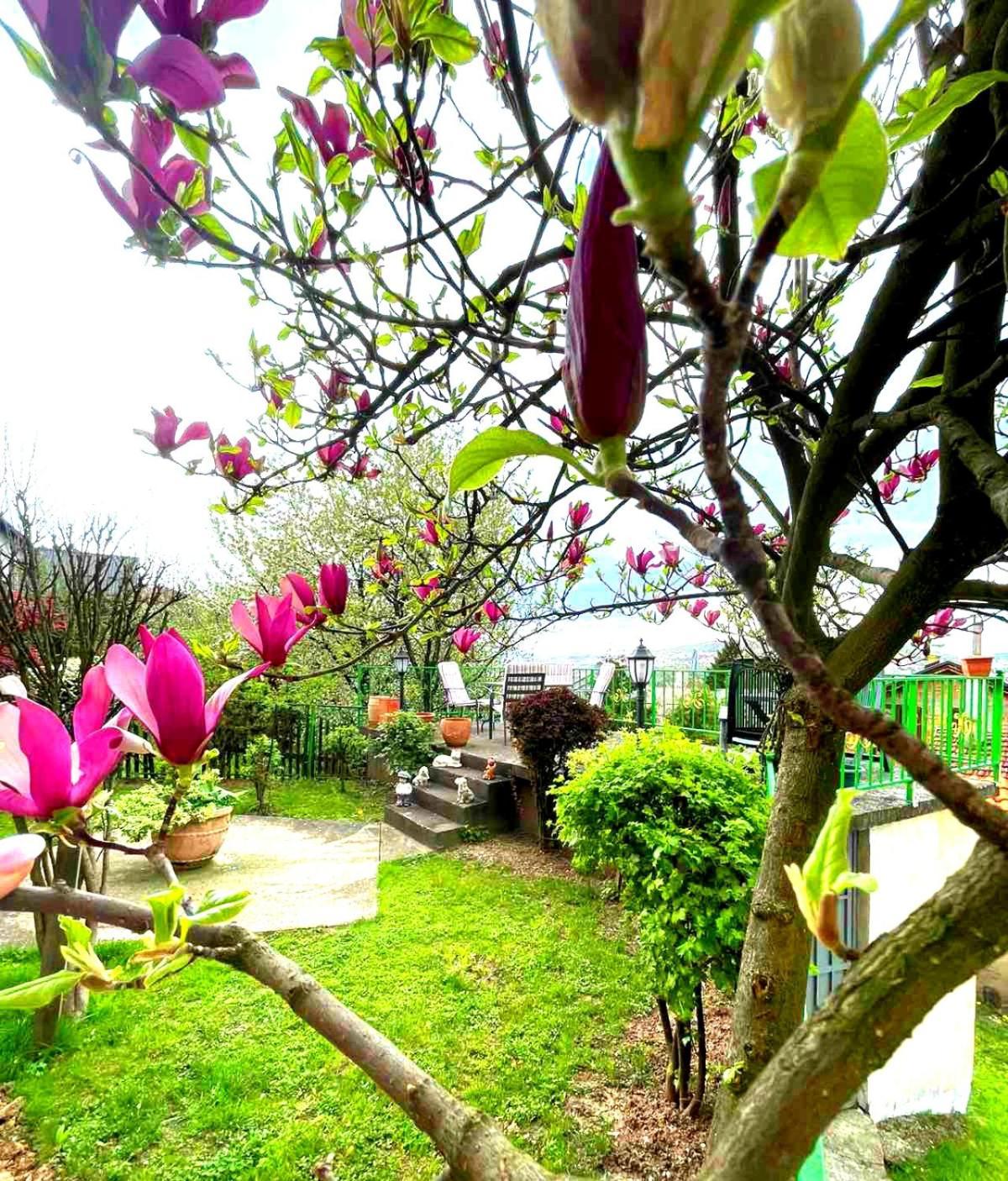 Garden Free Parking Daire Saraybosna Dış mekan fotoğraf